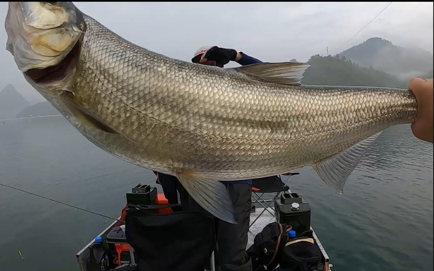 岩滩镇的红水河早口点了根华子第二杆中获米级翘嘴