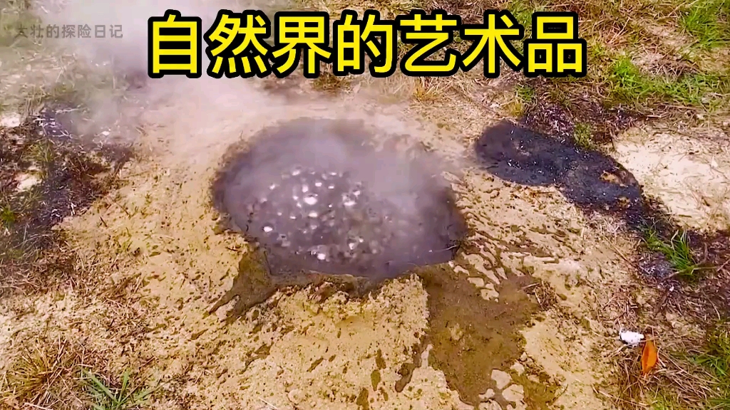 蚂蚁窝做成独一无二的艺术品,太惊艳了