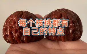 Download Video: 每个核桃都有自己的特点