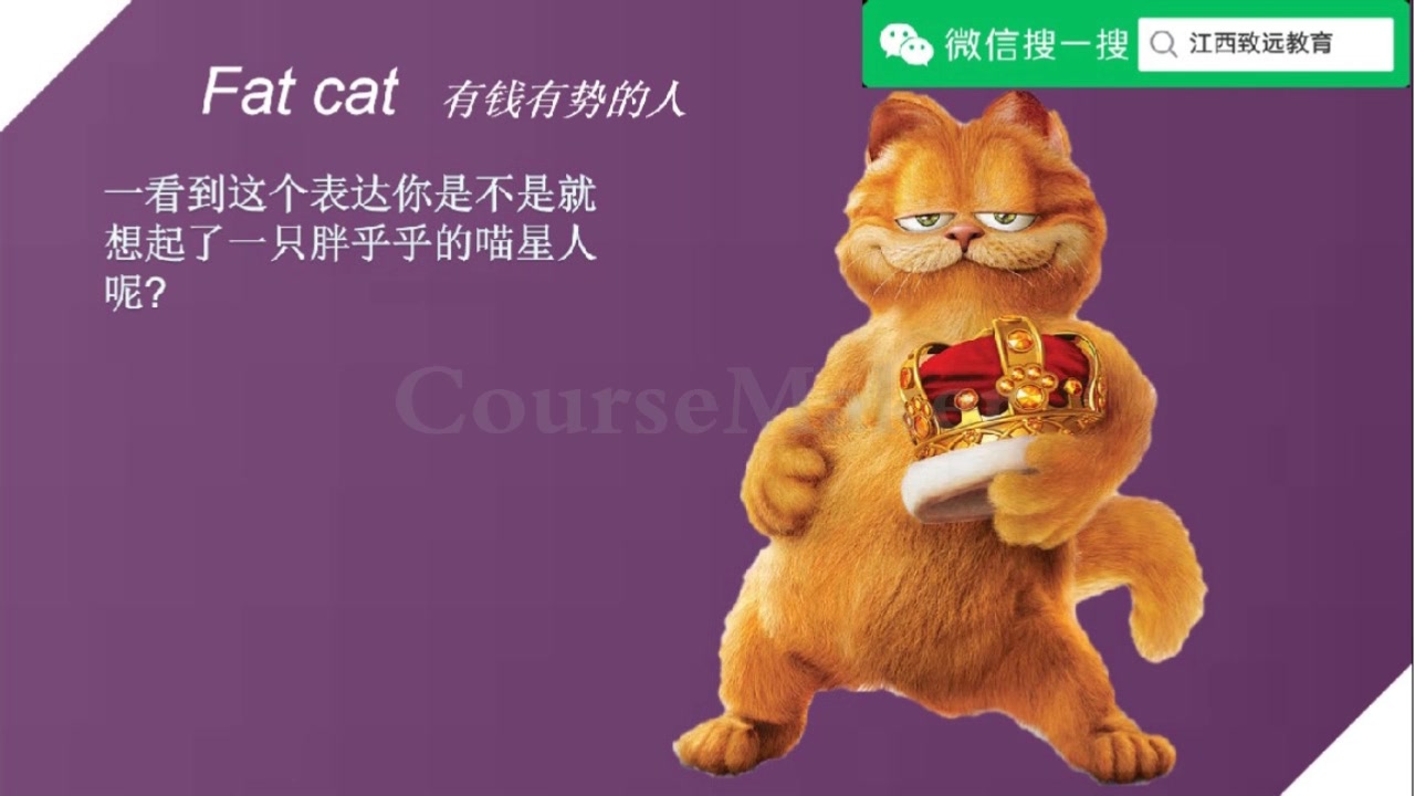 [图]【幼小衔接】CC老师的英语小课堂：猫