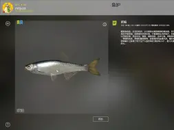 下载视频: 5/28一图欧鲌刷浮子饵鱼