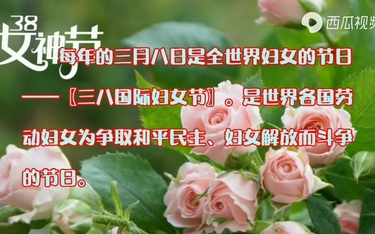 三八妇女节的来历哔哩哔哩bilibili