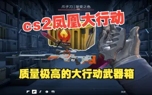 Download Video: cs2开“凤凰大行动”武器箱， 质量极高的大行动武器箱！cs2大行动！迈从g98pro