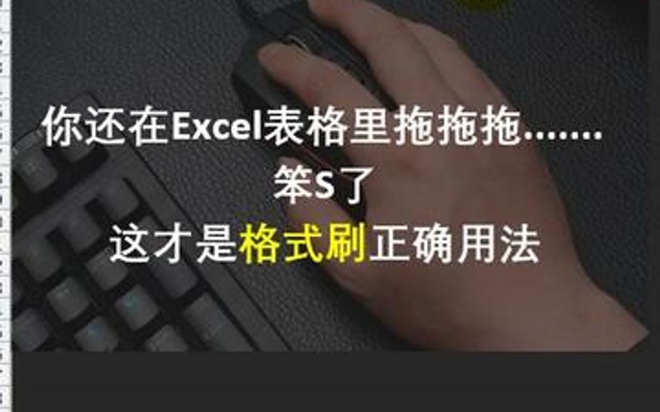 你用Excel格式刷都是拖拖拖吗?太笨了!哔哩哔哩bilibili