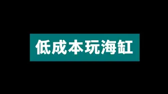 Download Video: 低成本海缸开缸过程