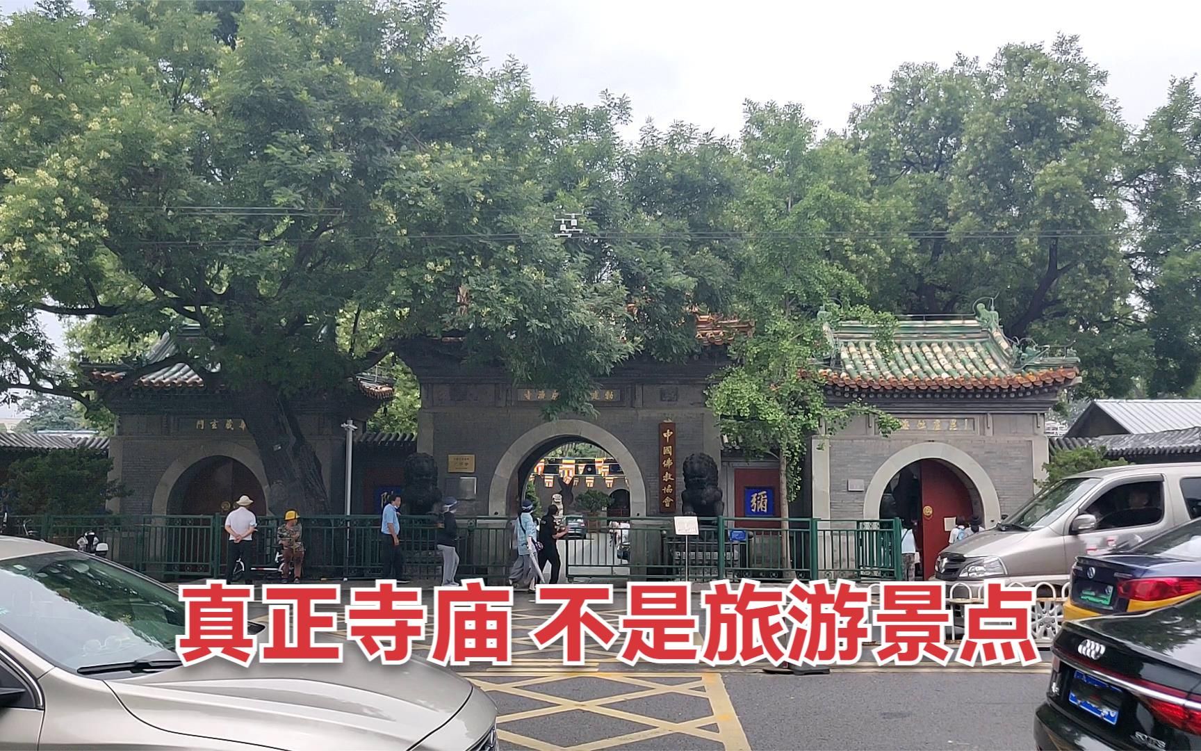 北京著名的寺庙 中国佛教协会所在地广济寺哔哩哔哩bilibili