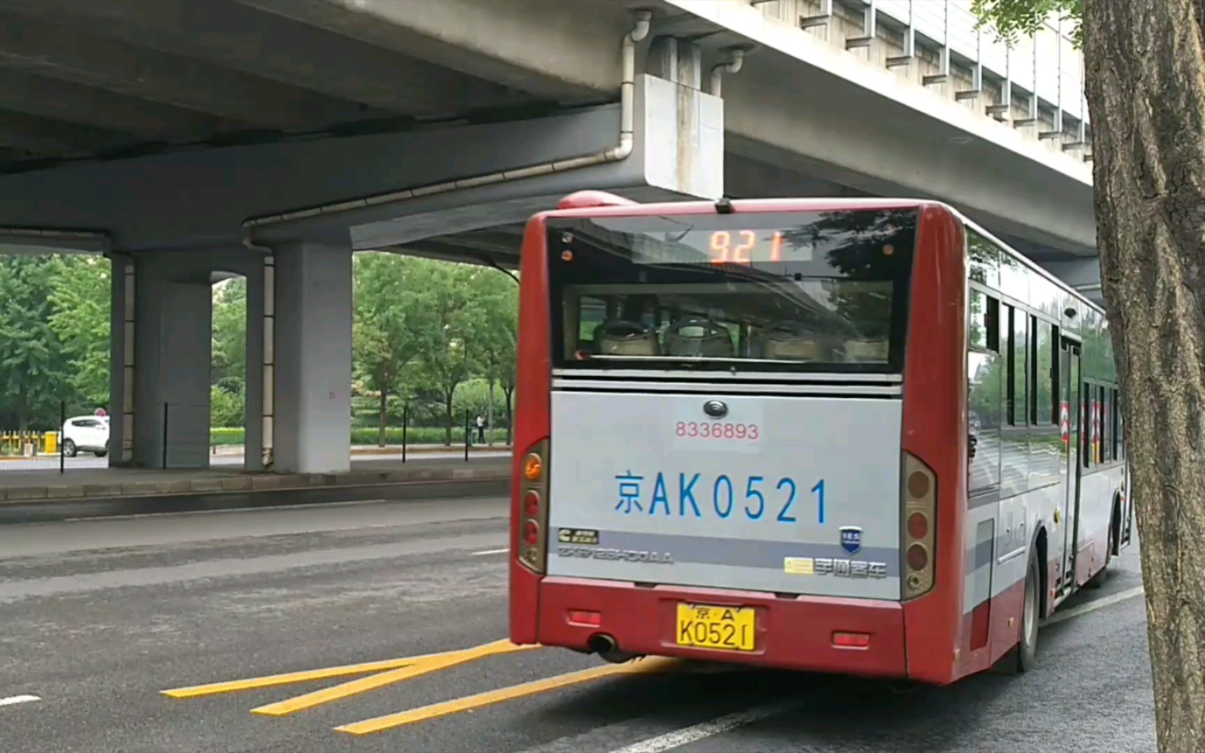 921路公交车路线图图片