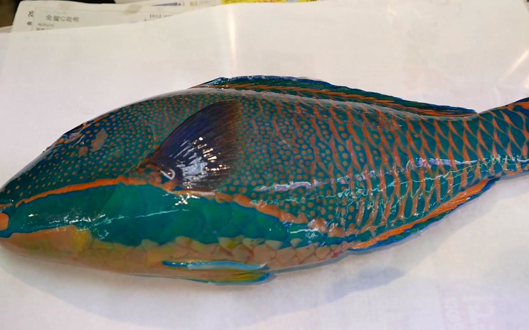 日本海鲜,鹦鹉鱼制作过程