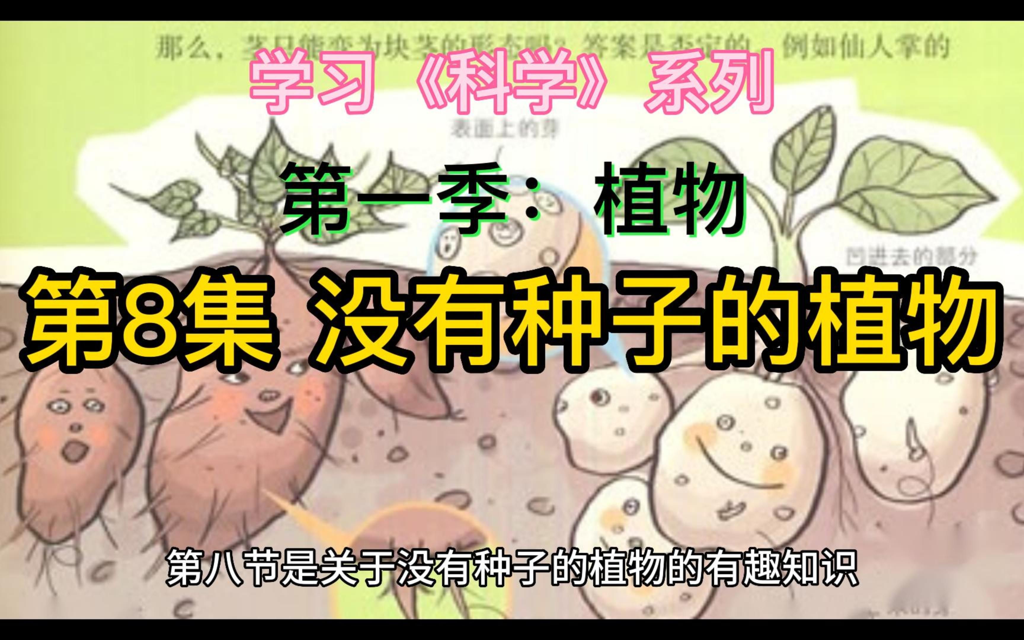 [图]学《科学》系列，第一季 植物，第8集 没有种子的植物