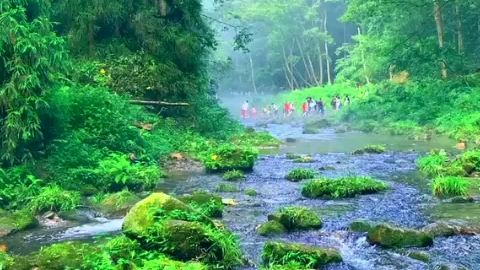 [图]最美的夏天