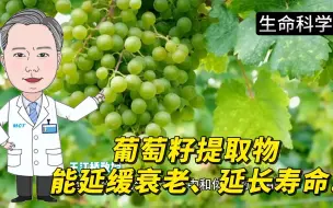 Download Video: 葡萄籽提取物能延缓衰老、延长寿命!