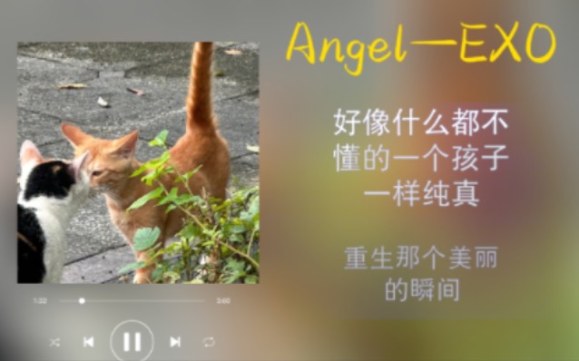 [图]【EXO歌单日推】“只要你和我一直走下去…”—Angel