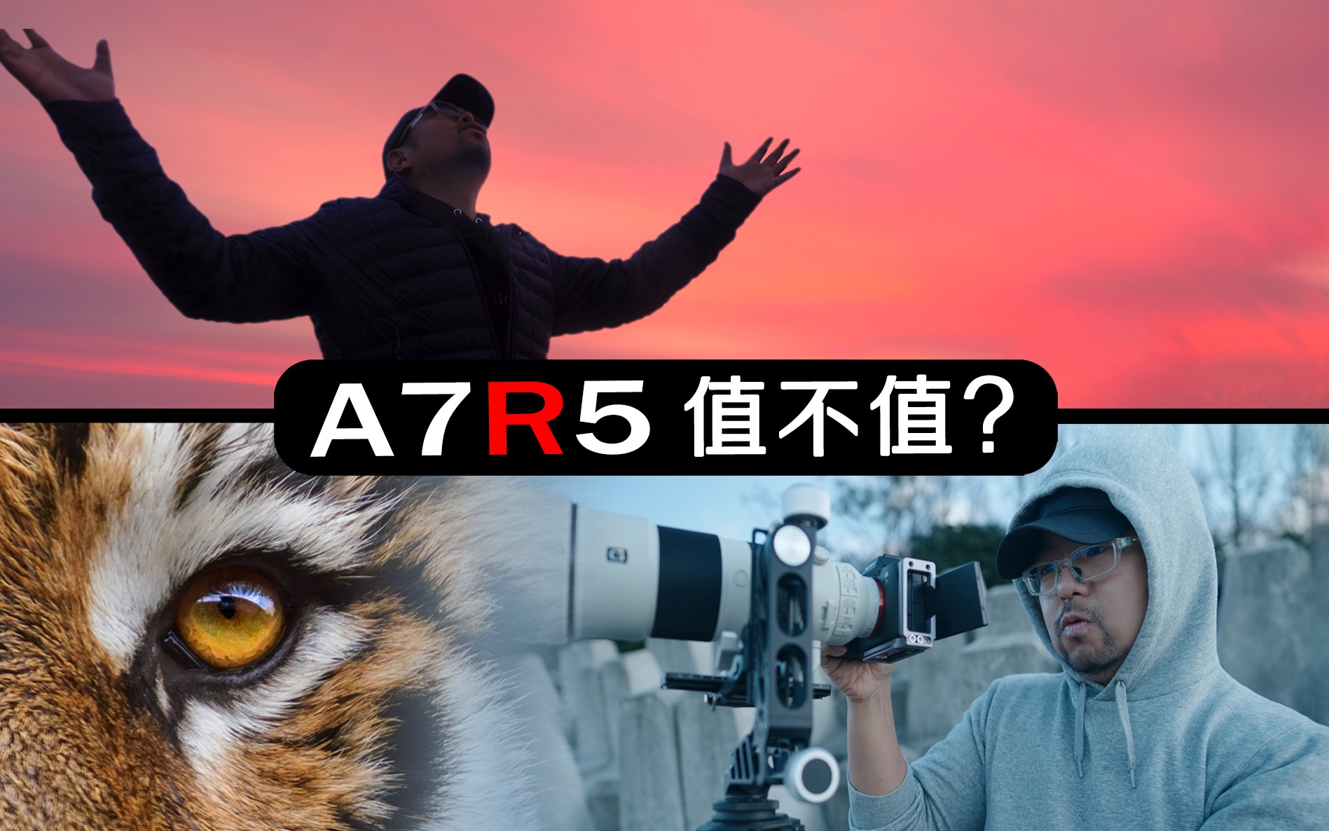 [图]A7R5值不值?大量实战样片,极限挑战: 长曝|街拍|打鸟|罕见血月亮![唐僧VLOG-67]