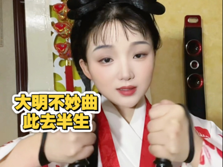 大明不妙曲·此去半生·翻唱