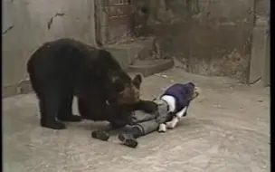 Tải video: 【北海道棕熊】棕熊袭击人行为实验