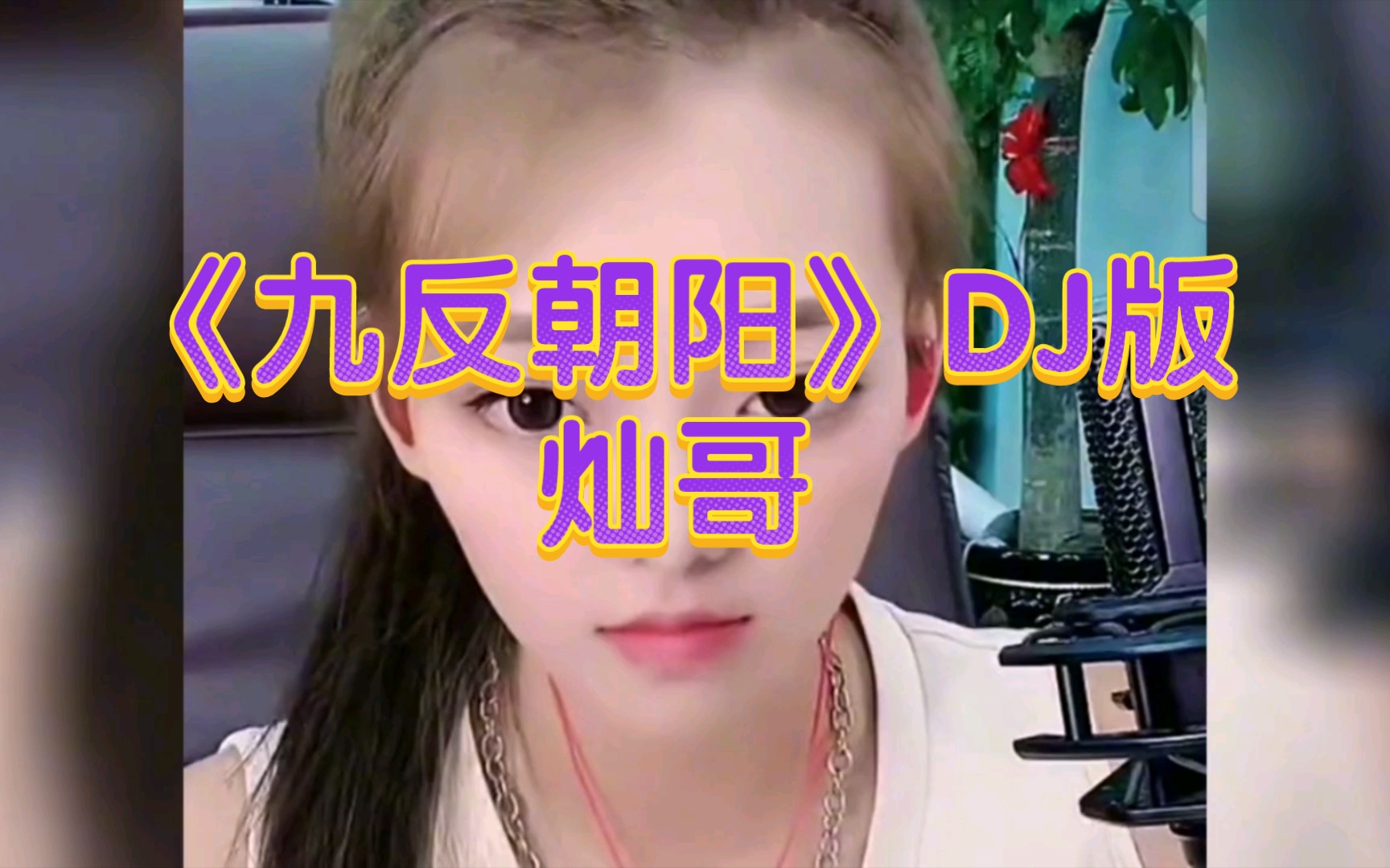 二人转《九反朝阳》dj版,灿哥唱的真得劲啊!