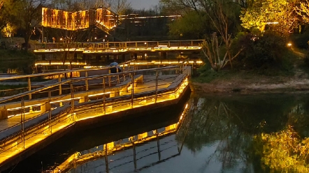 《西溪湿地公园夜景》