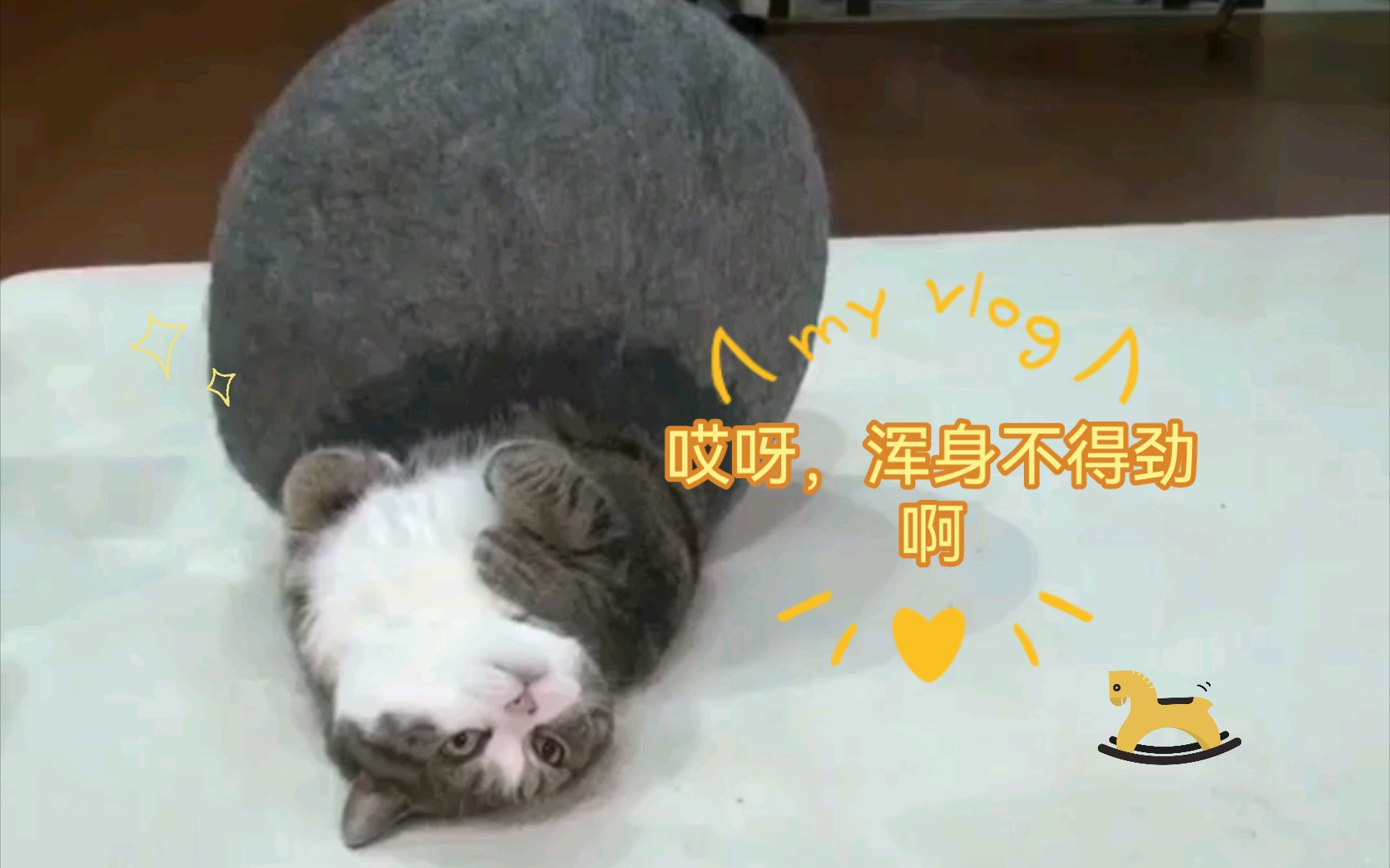 哎呀,猫猫我呀浑身不得劲啊