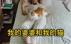 Download Video: 我的婆婆爱我的孩子，也宠我的小猫