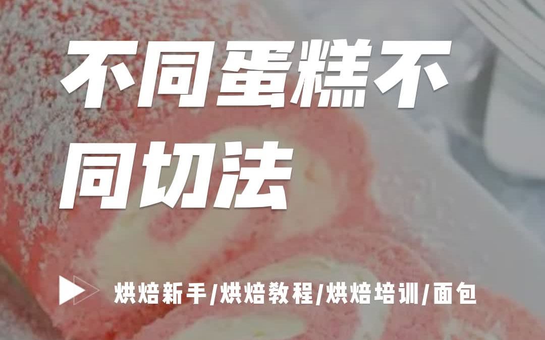 不同蛋糕不同切法,别搞错啦哔哩哔哩bilibili