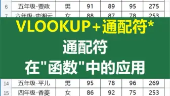 VLOOKUP+通配符*，通配符在“函数”中的应用