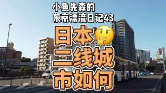 Descargar video: 移居日本，选择大城市还是小城市？