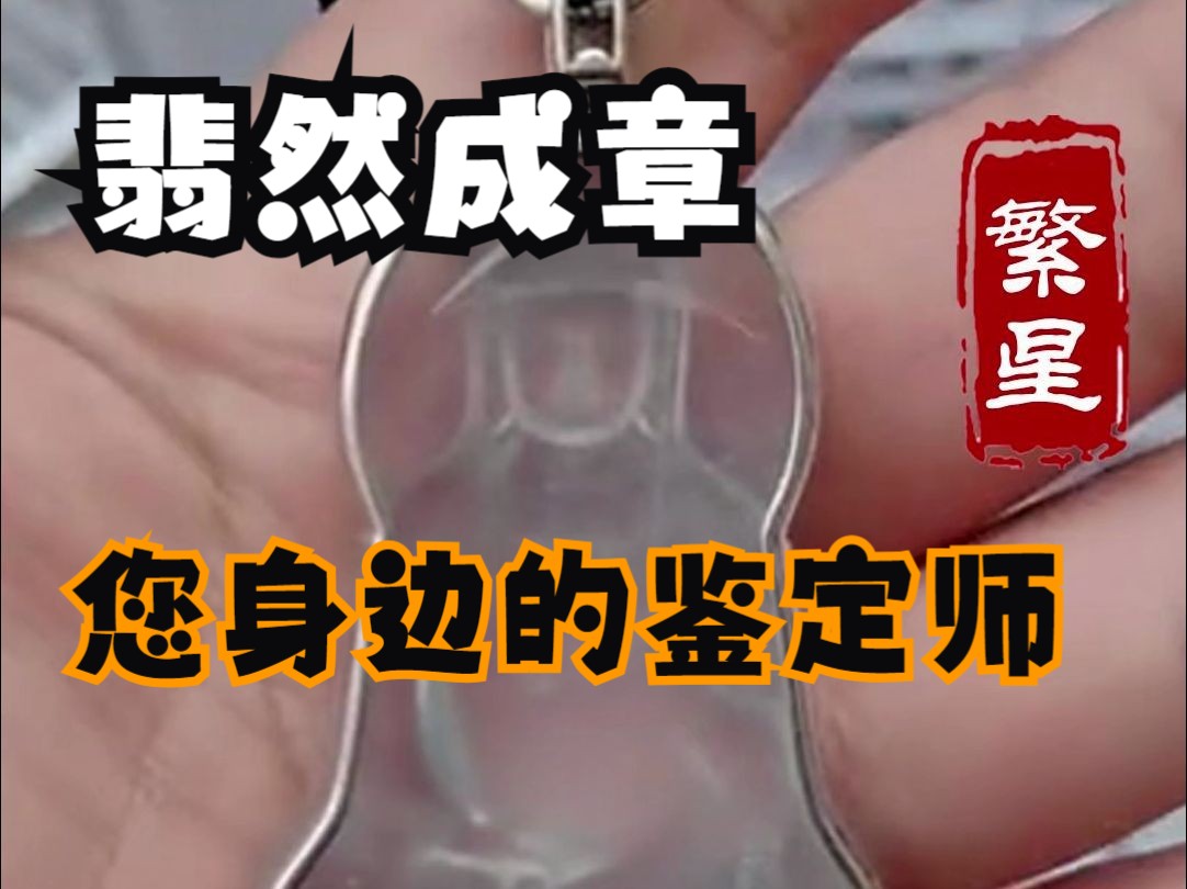 翡然成章 繁星鉴宝(天天鉴宝)