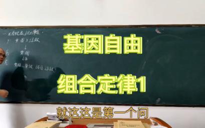 [图]必修2第一章第2节 孟德尔的豌豆杂交实验（二）