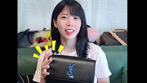 Ysl家最保值的包包 你知道是哪个吗 哔哩哔哩 Bilibili