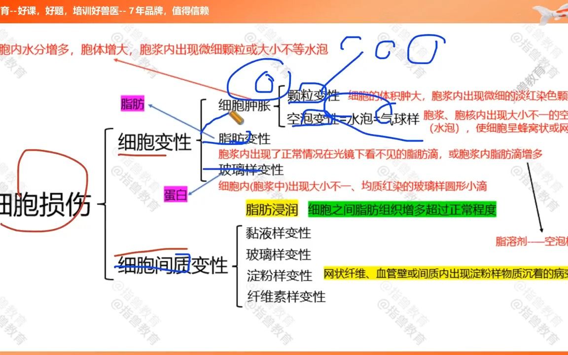 [图]指兽教育2023年执业兽医考试动物病理学第1节课