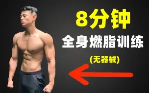 Video herunterladen: 【每天一遍,肥肉再见】8分钟无器械燃脂训练