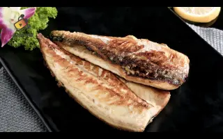 青花鱼 搜索结果 哔哩哔哩 Bilibili