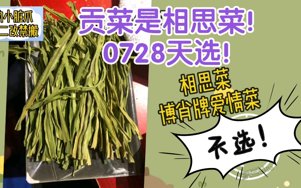 【博君一肖】0728贡菜是相思菜!继爱情水后你俩竟然吃出了爱情菜!天选!不愧是你们!xql真会呀!哔哩哔哩bilibili