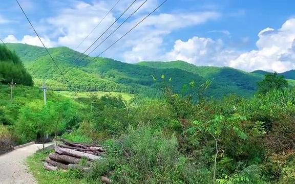 发现一个东北原始乡野风貌的小山村,真正的田园风光,宁静祥和哔哩哔哩bilibili