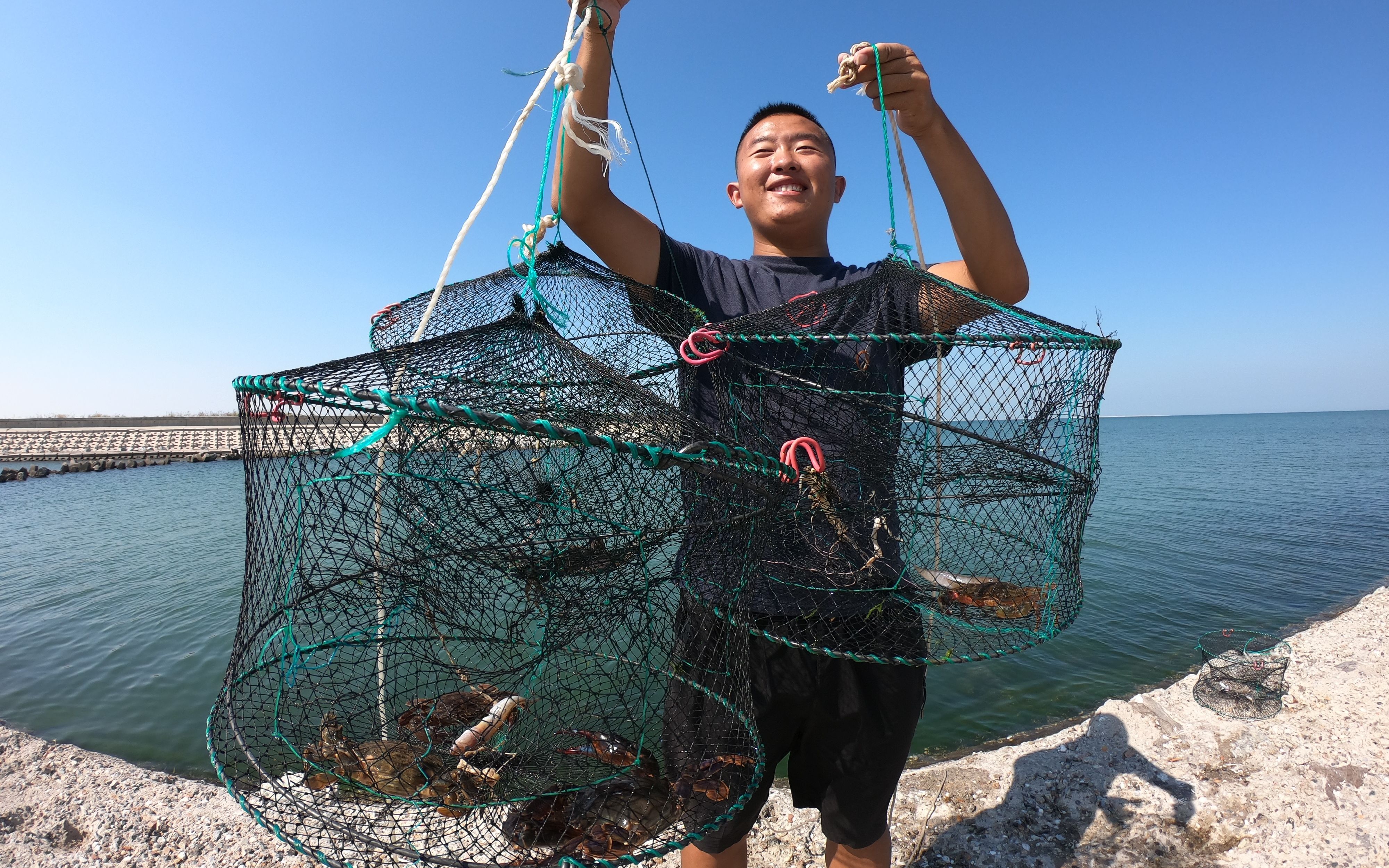 二蛋赶海下地笼,螃蟹一笼笼的往上提,二蛋直呼赚大发了