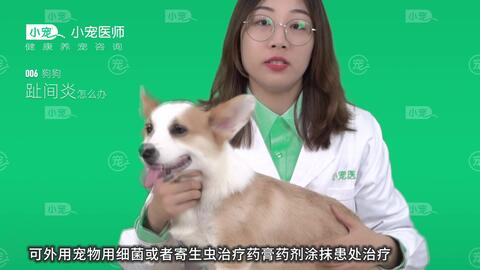 你觉得猫狗是色盲很奇葩吗？其实猫狗不止色盲还近视！_哔哩哔哩(゜-゜ 