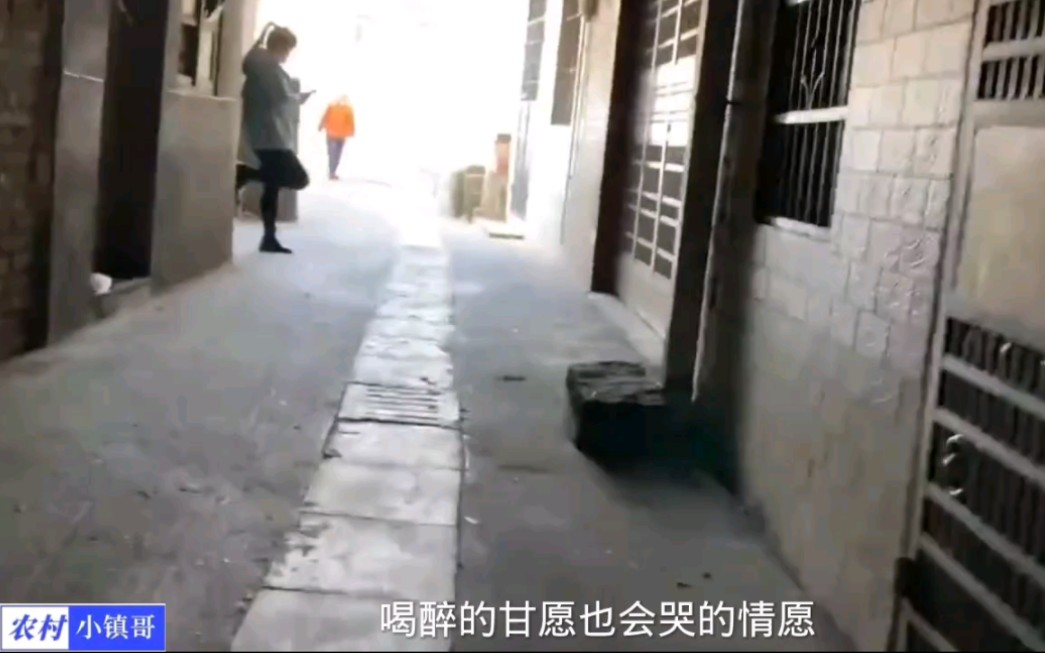 酒香不怕巷子深,漫步东莞小巷,总有不一样的亮丽点哔哩哔哩bilibili