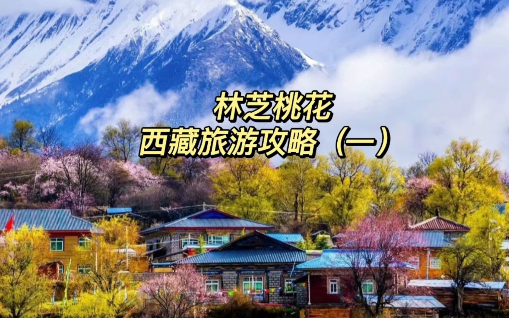 林芝桃花节最美索松村6晚7天西藏旅游攻略(一)哔哩哔哩bilibili