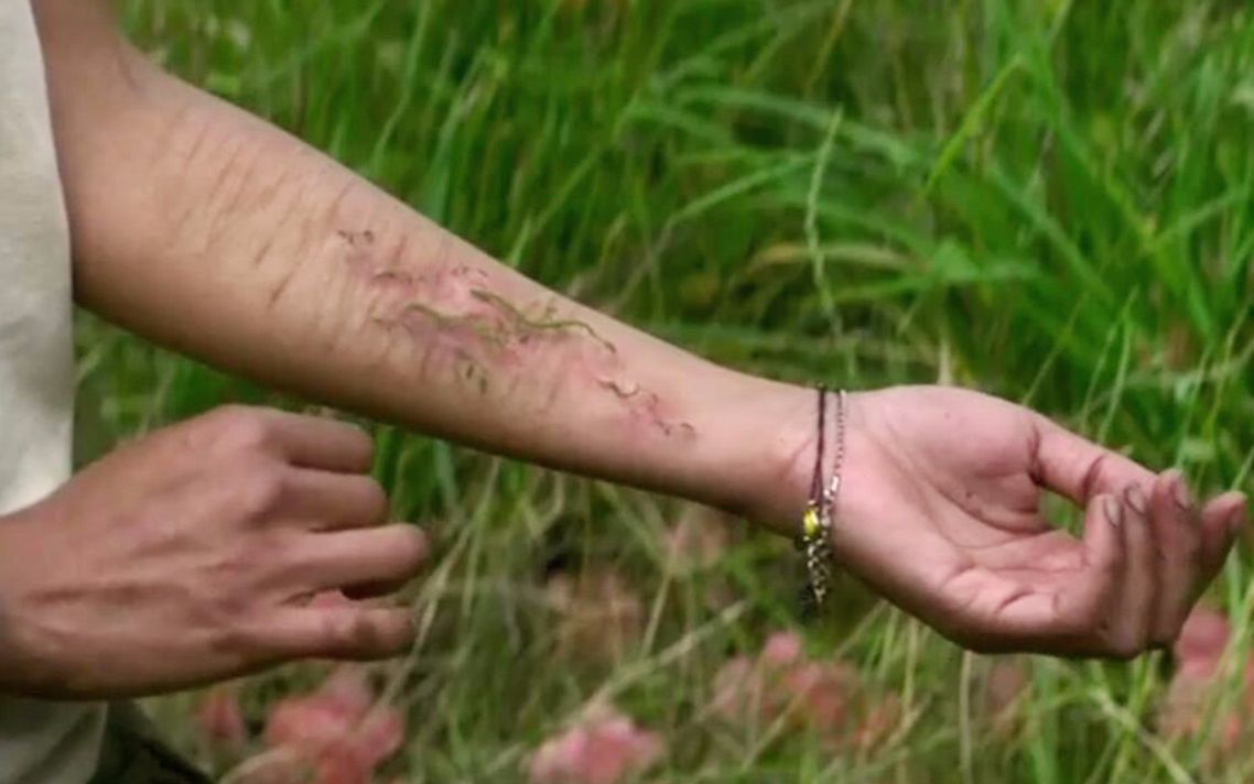 【穷电影】女科学家进入外星人的"禁地",发生变异,手臂竟长出了树枝!