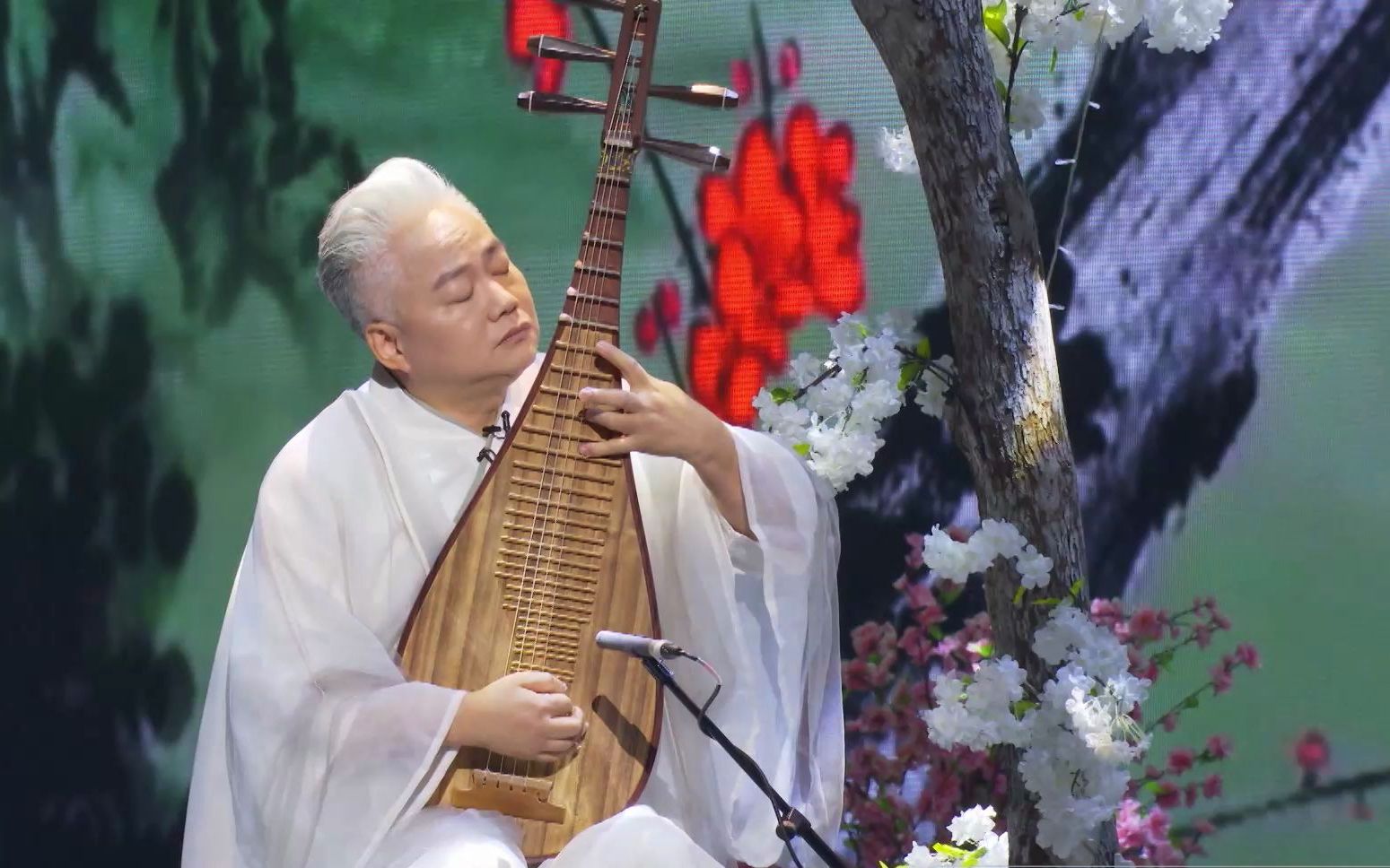 国乐大典第三季第六期纯享舞台方锦龙老师人琴合一琵琶演奏忆江南