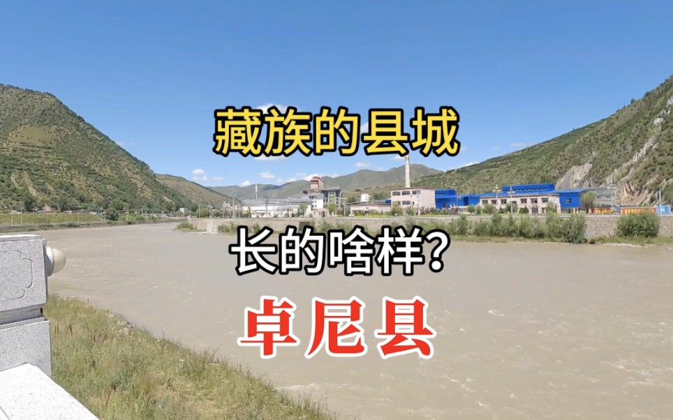 藏族的县城长啥样?真有传说中那么落后吗?看甘肃省甘南州卓尼县哔哩哔哩bilibili