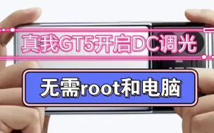 Download Video: 全网首发！真我GT5开启DC调光，无需root，一加OPPO也能装！消除频闪！