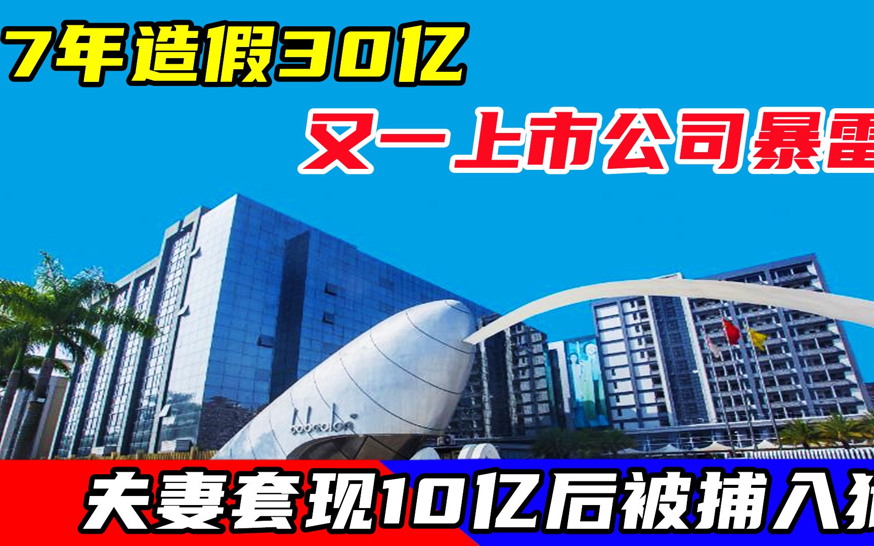 7年造假30亿!又一上市公司暴雷,夫妻套现10亿后被捕入狱哔哩哔哩bilibili