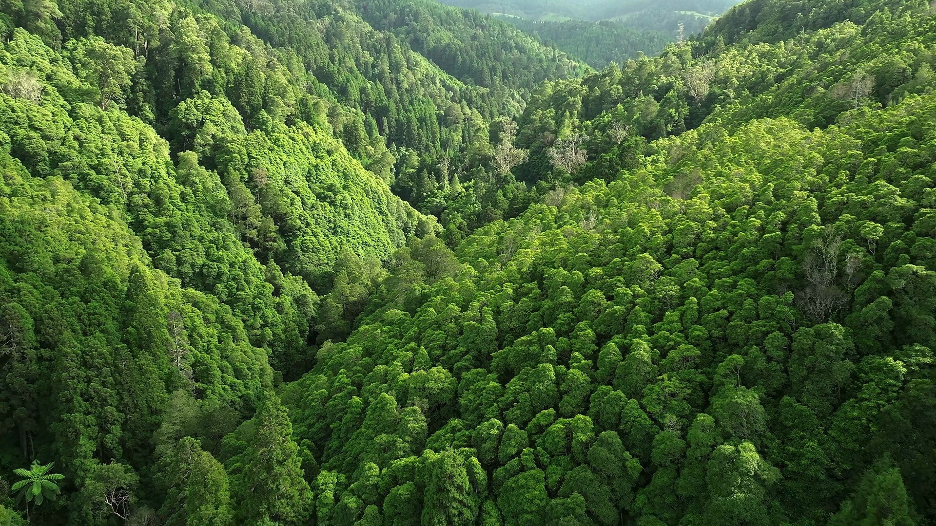 航拍绿色山林景观,蓝天白云下的山脉