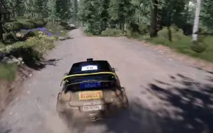 下载视频: ps5 wrc10 练习⑩ 自己打自己的记录