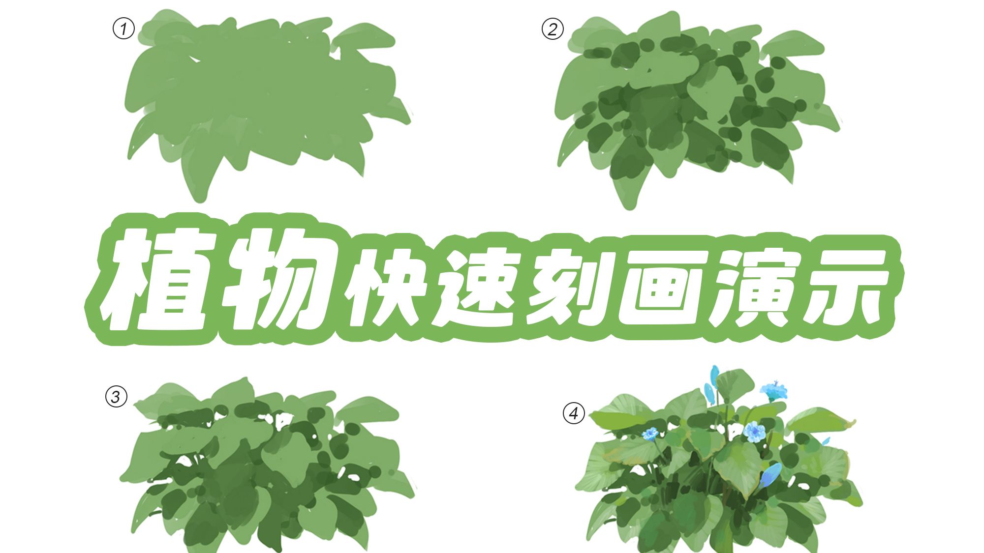 【绘画教程】洛克猴教你一分钟掌握植物刻画技法！看到结尾有惊喜
