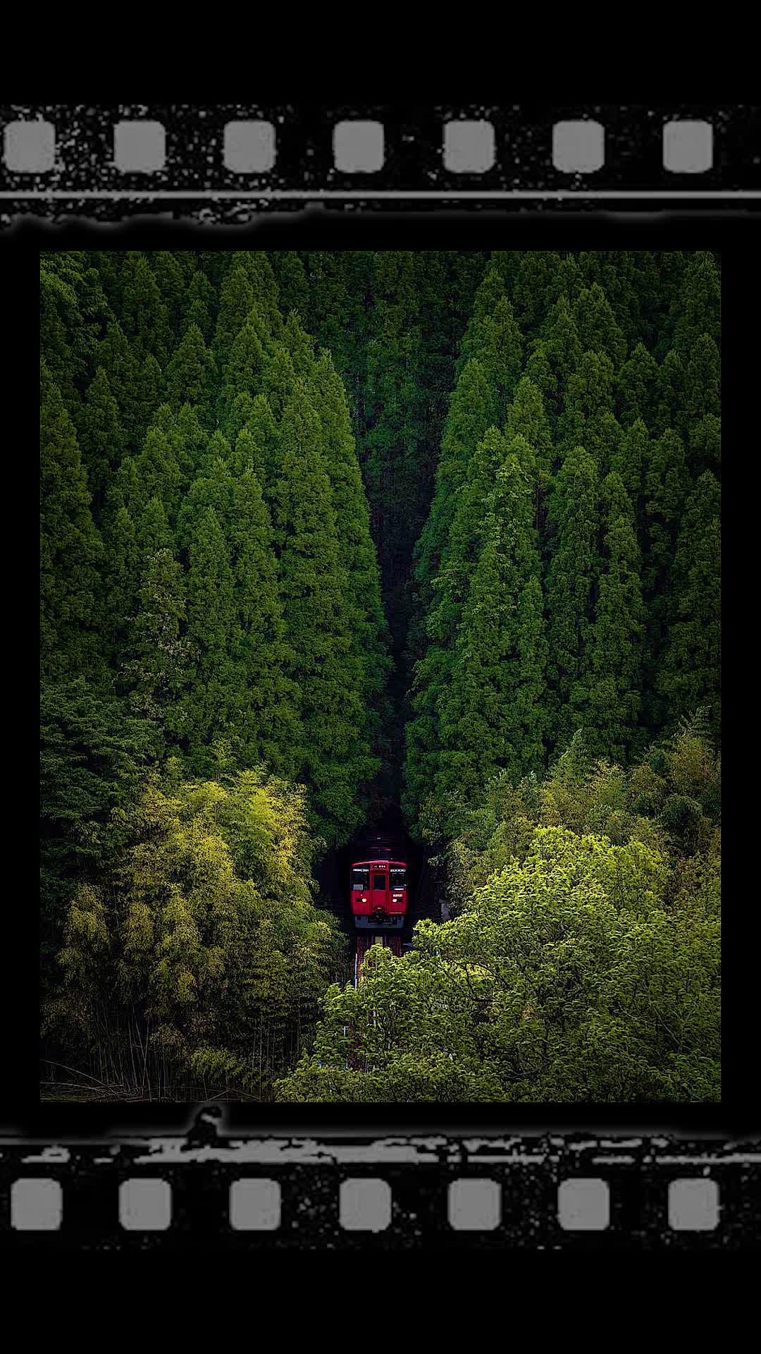 山里的日本 摄影师hisa_哔哩哔哩_bilibili