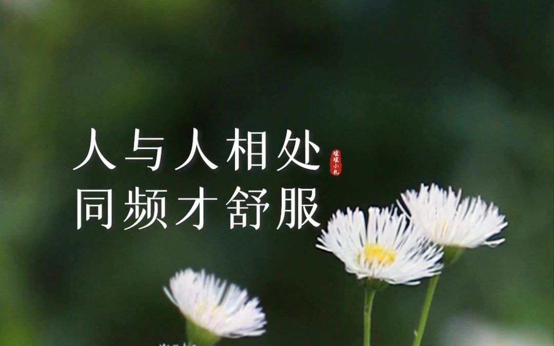 不给别人带来烦恼是一种慈悲,不给自己带来烦恼是一种智慧,余生很贵
