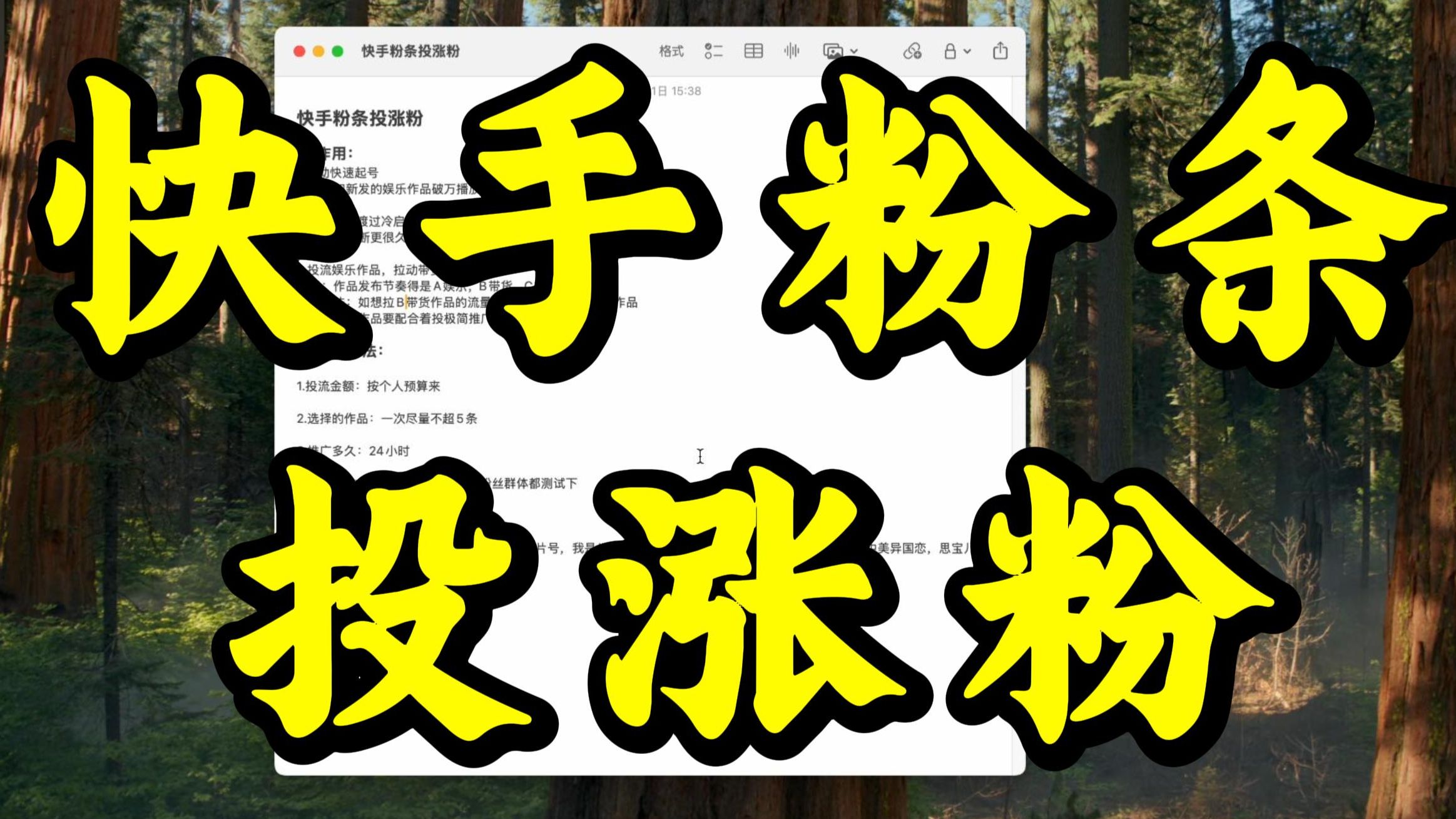 快手粉条 投涨粉