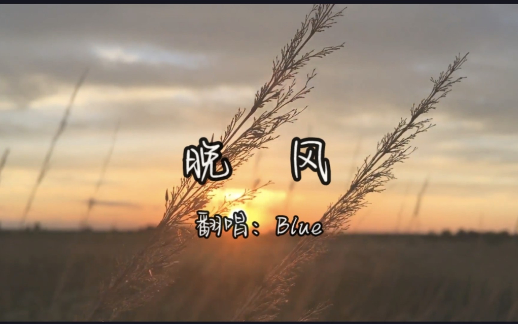 和煦的晚风拂面吹过的时候,可曾还记得当年温暖的目光和微笑